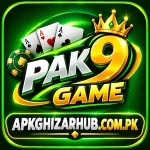 Pak9 Game