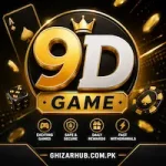 9D Game