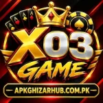 X03 Game