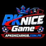 PK NICE Game